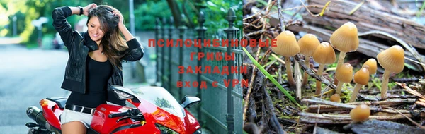 jwh Алексин